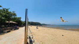 윈도우 포럼 - 자유 게시판 - 날씨 엄청 덥네요 자유 게시판 - 날씨 엄청 덥네요