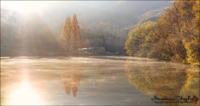 윈도우 포럼 - 질문과 답변 - 부탁드려요.고수님들 질문과 답변 - 부탁드려요.고수님들