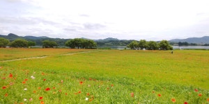 윈도우 포럼 - 스크린 샷 - 어제 남양주 물의정원 같다왔습니다. 스크린 샷 - 어제 남양주 물의정원 같다왔습니다.