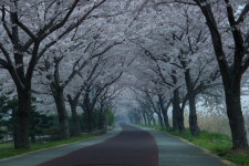 윈도우 포럼 - 스크린 샷 - 나의자전거 전용도로 스크린 샷 - 나의자전거 전용도로
