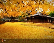[모두의 여행] 전주 1박 2일 | 세상의 모든 여행, 위시빈