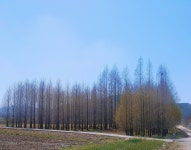 [자전거길] 자전거 | 세상의 모든 여행, 위시빈