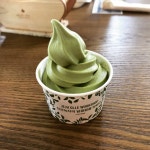 [제주] 전체 - 제주 커뮤니티 | 세상의 모든 여행, 위시빈