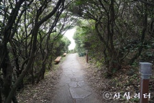 [남원 큰엉 해안경승지] | 세상의 모든 여행, 위시빈 [남원 큰엉 해안경승지]  | 세상의 모든 여행, 위시빈