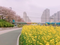 [온천천] | 세상의 모든 여행, 위시빈 [온천천]  | 세상의 모든 여행, 위시빈