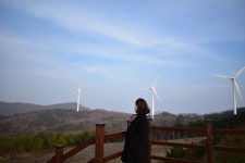 [경주풍력발전소] 풍력발전소 | 세상의 모든 여행, 위시빈