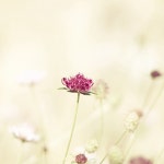 코나 국제공항 - 마우이 가볼만한 곳 > 공항 | 세상의 모든 여행, 위시빈