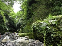 수악 - 제주 가볼만한 곳 > 자연 | 세상의 모든 여행, 위시빈