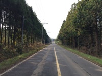 jeju | 세상의 모든 여행, 위시빈