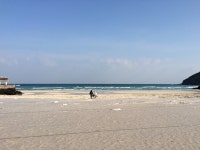 낭만백수 제주도 | 세상의 모든 여행, 위시빈