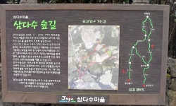 삼다수숲길 - 제주 가볼만한 곳 > 자연 | 세상의 모든 여행, 위시빈
