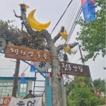 전주 뿌시기 | 세상의 모든 여행, 위시빈