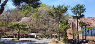 숲속의정원 - 양평 맛집 > 베이커리 | 세상의 모든 여행, 위시빈