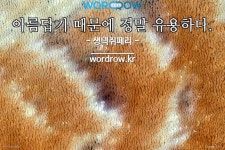 사하로 시작하는 단어는? 22개: 사하, 사하다, 사하다제, 사하라 룩... 사하로 시작하는 단어는? 22개: 사하, 사하다, 사하다제, 사하라 룩, 사하라... 