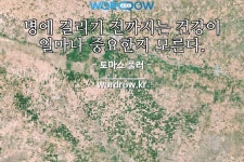 꺼비로 끝나는 단어는? 10개: 두꺼비, 뚜꺼비, 떡두꺼비, 업두꺼비, 파리 본 두꺼비, 책뚜꺼비, 금두꺼비, 물두꺼비, 옴두꺼비, 점...... 