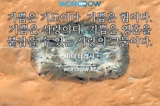 7개: 요다, 요다하다, 요다각형, 요다미드 메글루민 주사액, 요다지... 7개: 요다, 요다하다, 요다각형, 요다미드 메글루민 주사액, 요다지, 요다...