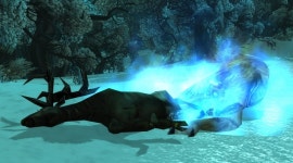 엘룬의 액화 불길 - 퀘스트 - 대격변 클래식 엘룬의 액화 불길