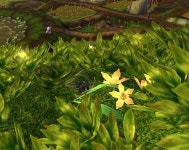 Goldenfire Orchid - Item - 11.2.0 PTR Goldenfire Orchid