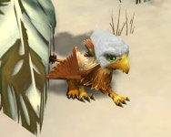 Alpine Hatchling - NPC - World of Warcraft Alpine Hatchling