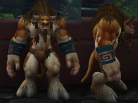 Rastari Armguards - Item - World of Warcraft Rastari Armguards