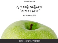 꽃피는 아침마을 | 꽃피는아침마을 꽃피는 아침마을