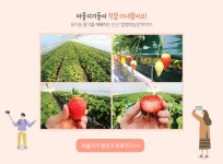 꽃피는 아침마을 | 꽃피는아침마을 꽃피는 아침마을