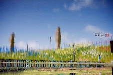 [5D] 임진각 평화누리공원.... - COOL 갤러리