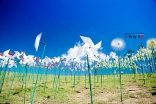 [5D] 임진각 평화누리공원.... - COOL 갤러리