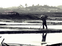 [S5IS] 바다, 그리고 바다의 선물 - COOL 갤러리