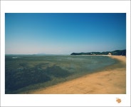 [5d] 영흥도에서..^^ - COOL 갤러리