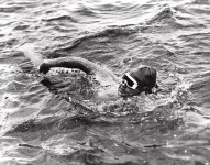 Today in history: Aug. 6 | WTOP Today in history: Aug. 6