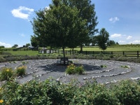 Need to unwind? Relax and visit a lavender farm - WTOP News