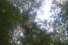 Small plane crash prompts rescue in Laurel area - WTOP News