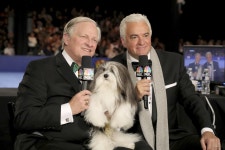 O’Hurley relishes annual Thanksgiving dog show’s popularity | WTOP