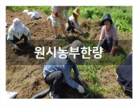 검색 | 서울시 50플러스포털