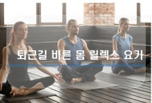 강좌 - 상세 | 서울시 50플러스포털 퇴근길 릴렉스 요가 4기