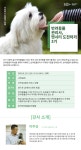 강좌 - 상세 | 서울시 50플러스포털 반려동물관리사·펫시터 도전하기 3기