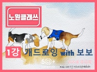 서울시 노원센터 | [노원클래쓰] 느낌 있개! 개드로잉 with 보보