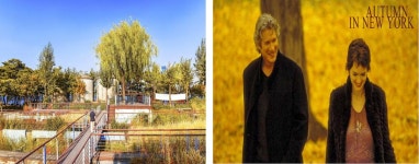 서울시 50+ 남부캠퍼스 | 우리 주변에 자연이 있다. 동네 공원 이야기