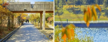 서울시 50+ 남부캠퍼스 | 우리 주변에 자연이 있다. 동네 공원 이야기