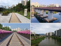 서울시 50플러스포털 | [북부]경춘선숲길 “공원따라 나혼자 걷기” 캠페인 참가기