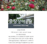 서울시 노원센터 | [2023 노원50+홍보서포터즈 5월 취재기사] 2023년 서울 장미축제 [2023 노원50+홍보서포터즈 5월 취재기사] '... 