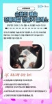 서울시 성동센터 | [4월 프로그램 수강후기] 손끝의 예술, 전통매듭 클래스