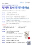 중장년 반려동물 돌봄 전문가: 펫시터 양성 원데이클래스 | 상세 정보 | 서울시 50플러스 일자리 정보몽땅