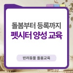 서울시 강서센터 | [교육] 강서50플러스센터  수강 후기