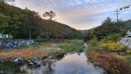 가입인사드립니다~ - 5G Camp 도장계곡입니다^^ - 5gcamp.com