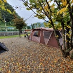 코베아 네스트2 판매합니다 - 5G Camp 중고마켓 - 5gcamp.com