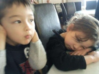 8월의 크리스마스(호주) ::: 82cook.com