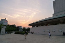  봄에 교향악이 울려퍼지는~  ::: 82cook.com