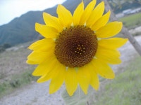 혜화동 가는 길 ::: 82cook.com